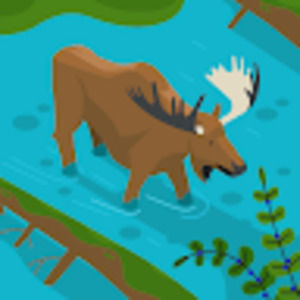 Meet your Posher, Addison